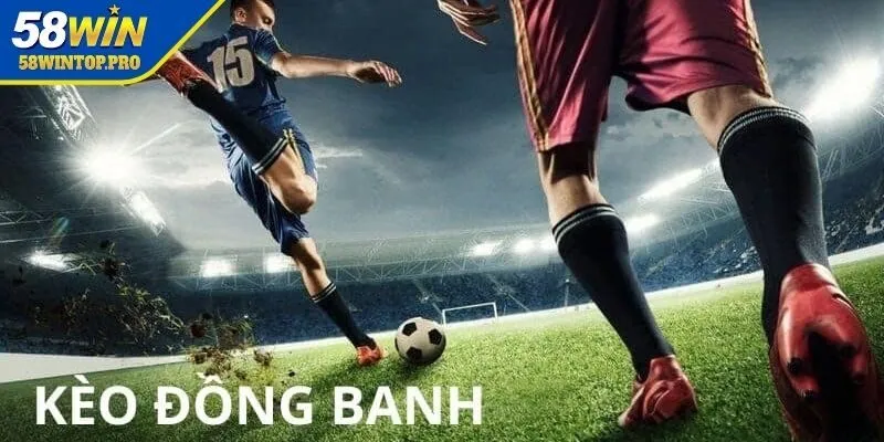 Cách chơi đồng banh nửa trái chuẩn xác