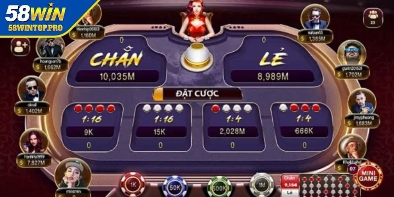 Cược Chẵn/Lẻ (Even/Odd Bet)