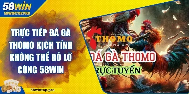 Trực tiếp đá gà Thomo